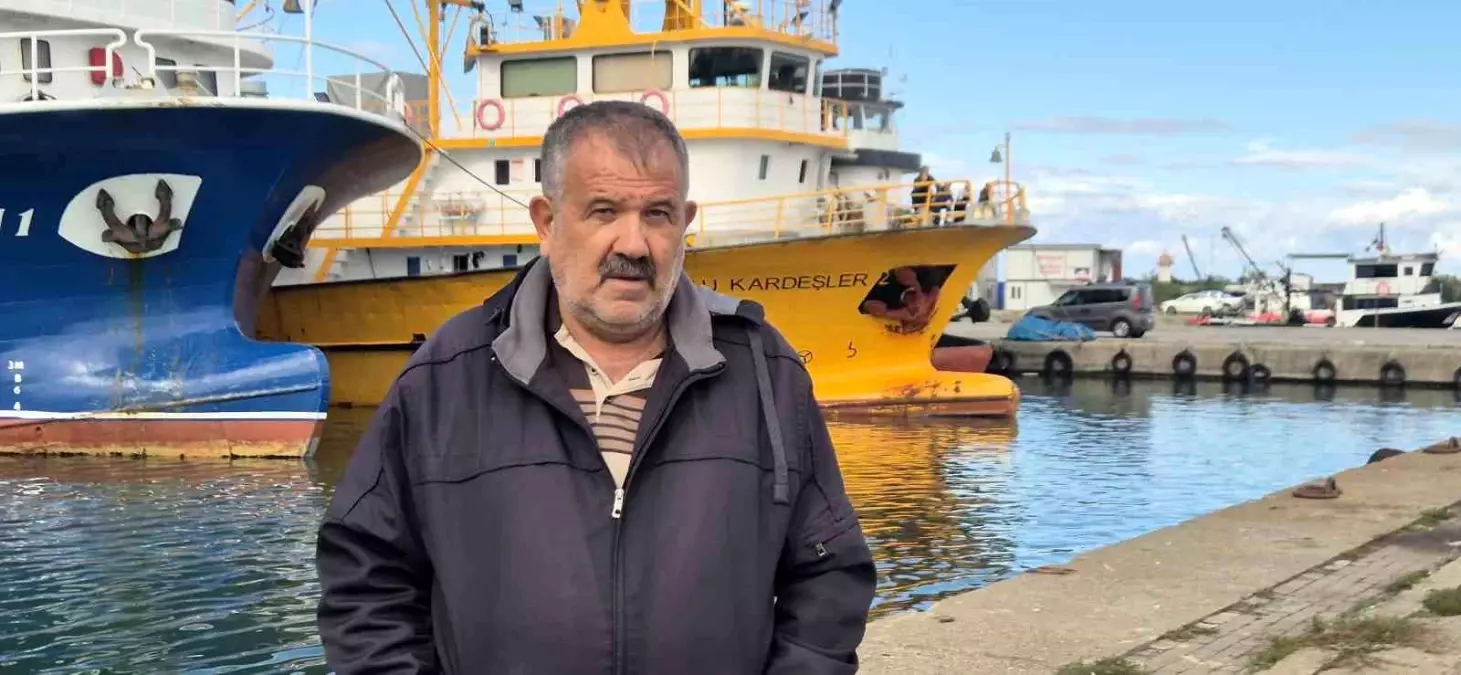 Hamsi Heyecanı Başladı, Uzmanlar Azak Denizi'nden Gelenleri Bekliyor