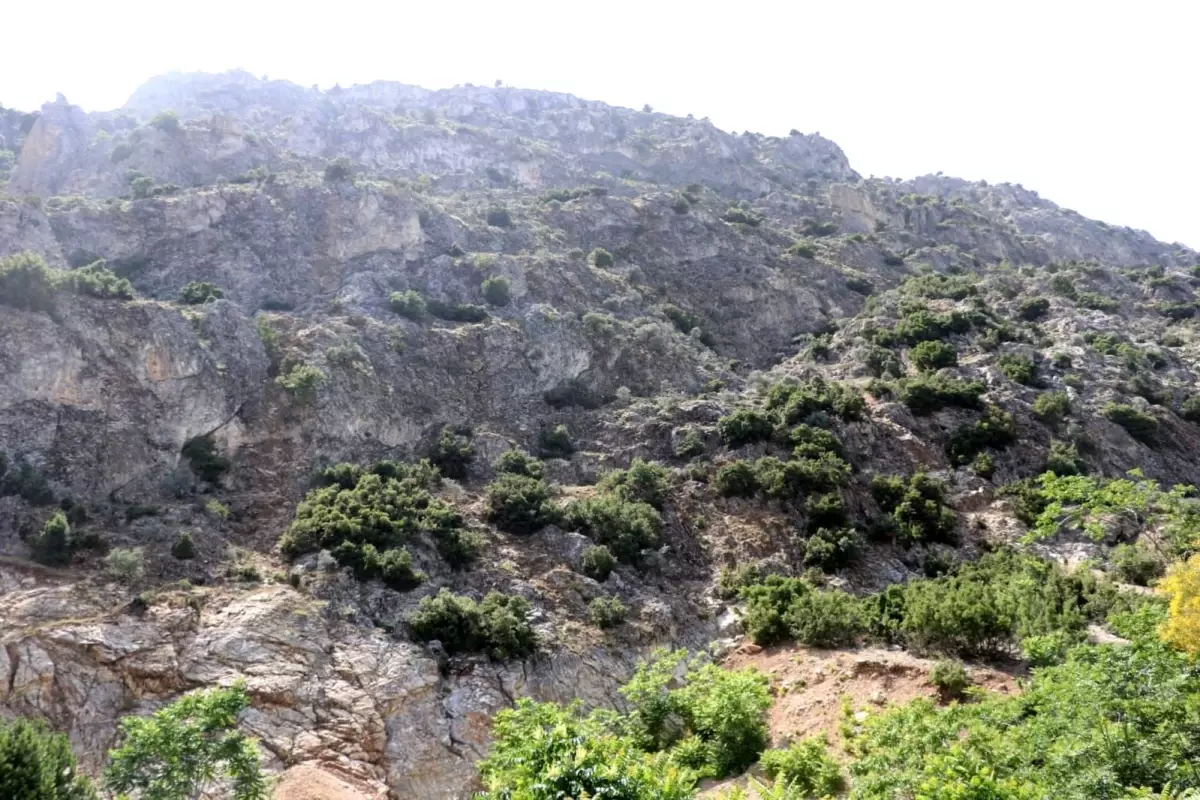 Isparta'da Kaybolan 75 Yaşındaki Adam İçin Arama Çalışmaları Başlatıldı