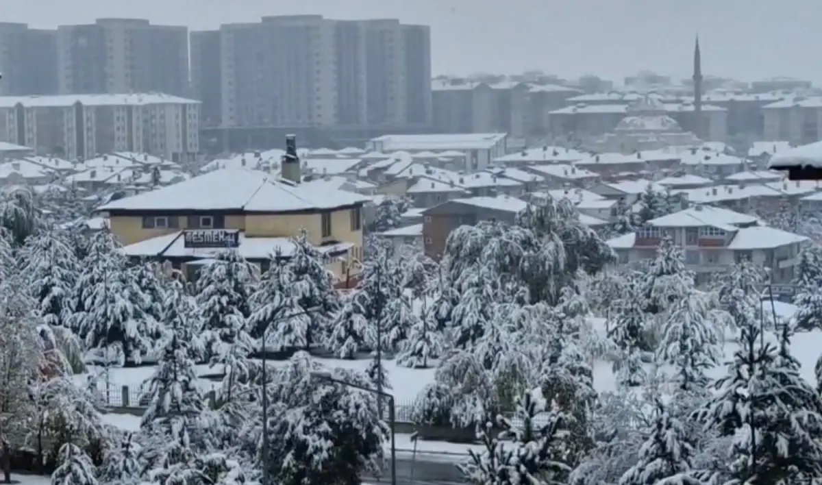 Erzurum ve Erzincan'da Kar Yağışı Kentleri Beyaza Bürüdü