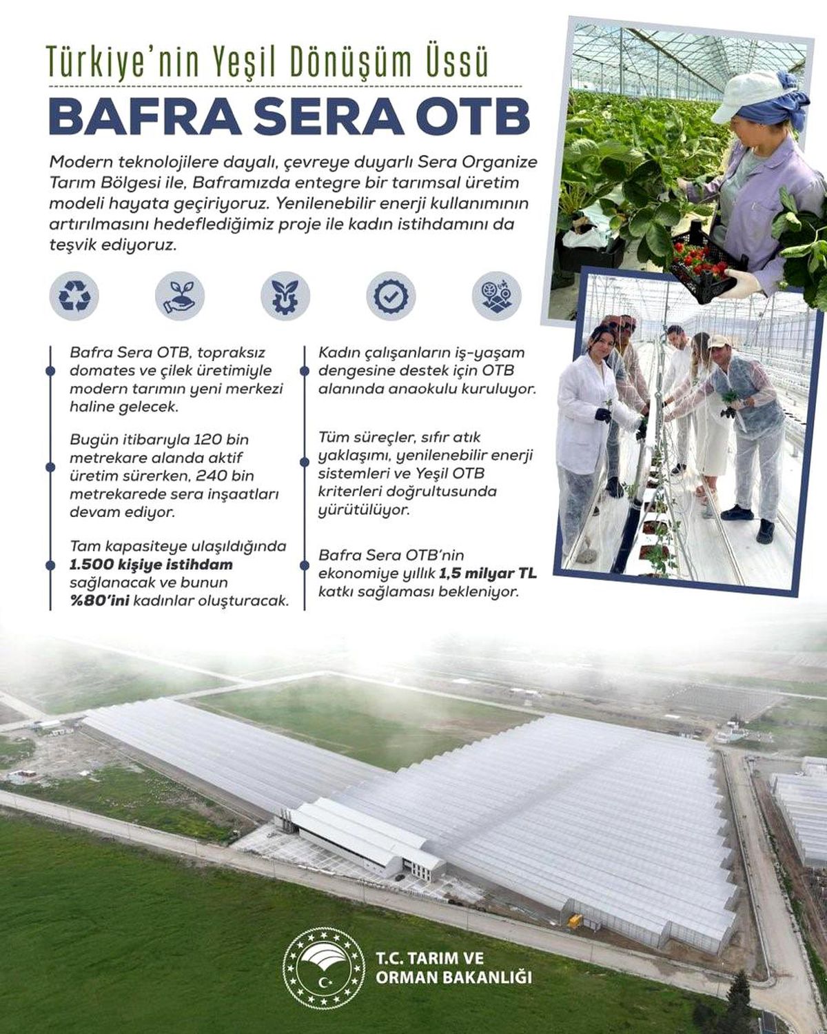 Bafra Sera Organize Tarım Bölgesi Projesi: Kadın İstihdamı ve Ekonomik Katkı