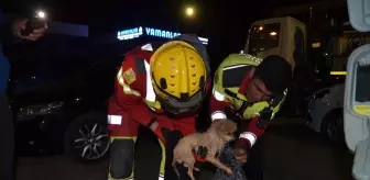 Konya'da İtfaiye, Sıkışan Köpek Yavrusunu 6 Saatte Kurtardı