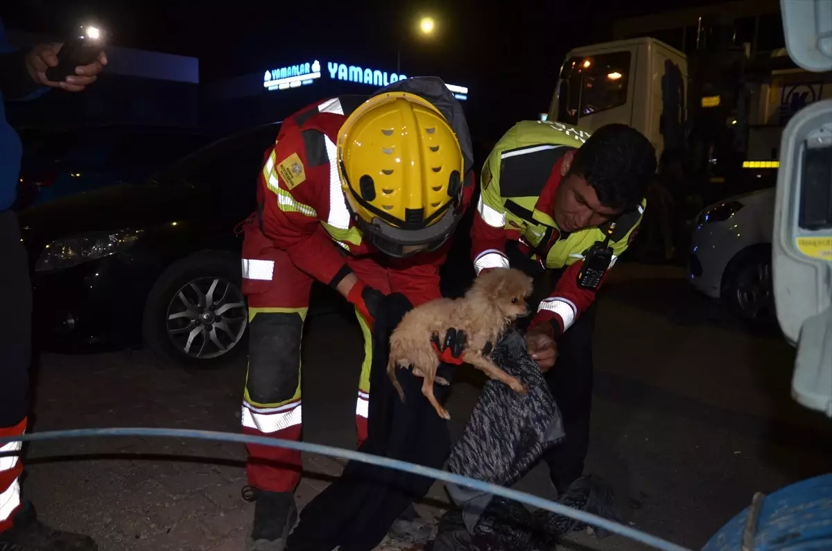 Konya'da İtfaiye, Sıkışan Köpek Yavrusunu 6 Saatte Kurtardı