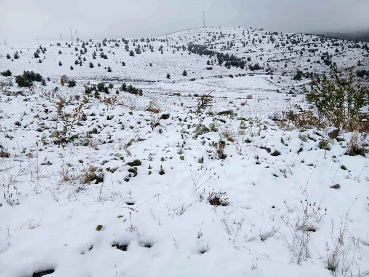 Posof ilçesinde etkili kar yağışı beyaz örtüyle kapladı