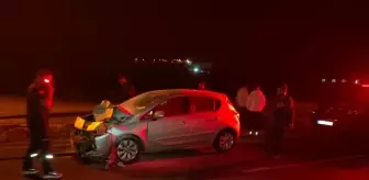 Eşeğe Çarpan Otomobilin Sürücüsü Yaralandı