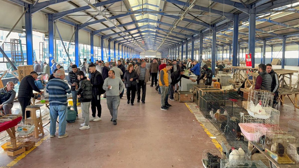 Trakya'nın En Büyük Güvercin Pazarı Ailelerin İlgi Odağı Oldu
