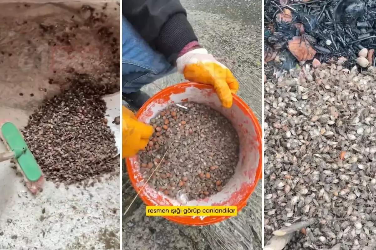 Türkiye'nin öteki gündemi! 'Son virajdayız' diyen vatandaştan endişelendiren sözler