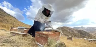 Kadın Arıcı Sunay Tokuş: 30 Kovandan 300 Kovana, Hedefi 500 Kova