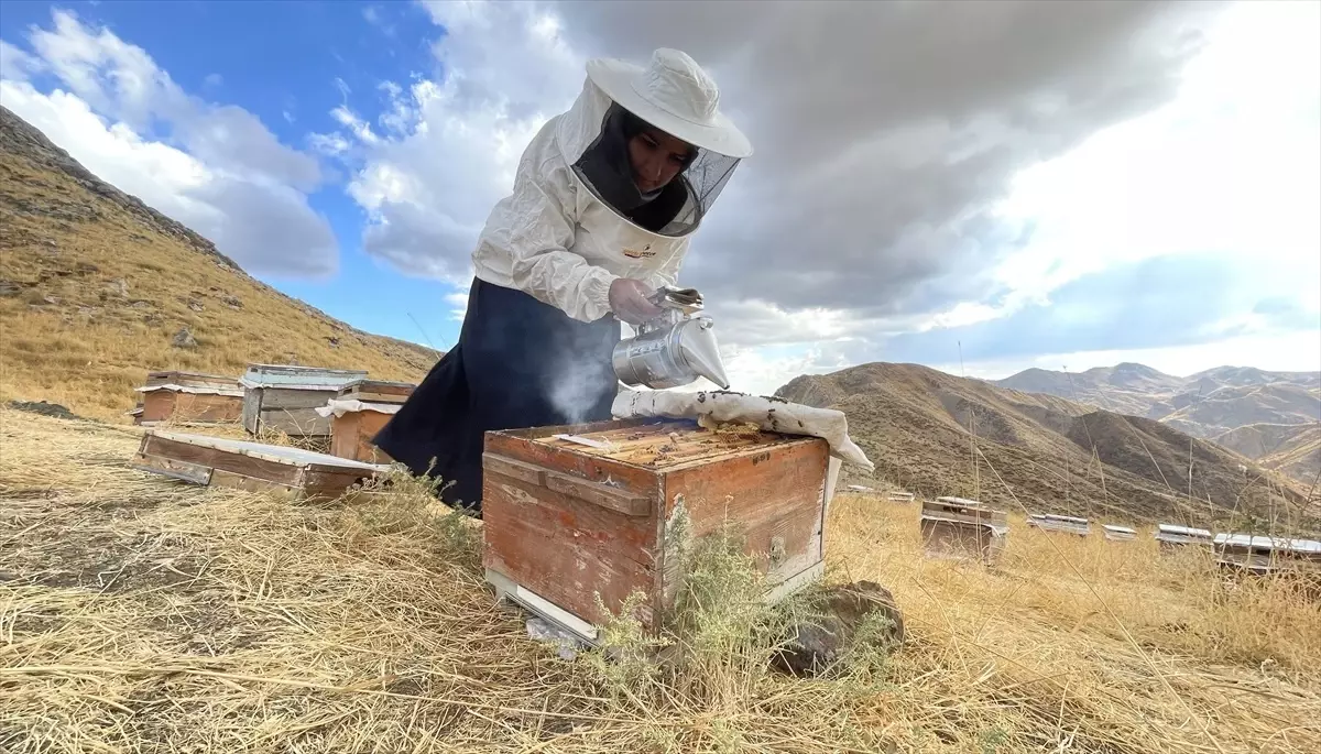 Kadın Arıcı Sunay Tokuş: 30 Kovandan 300 Kovana, Hedefi 500 Kova