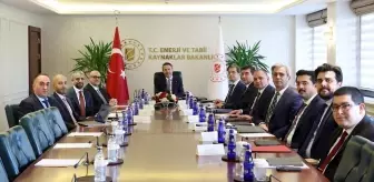 BAE ile Yenilenebilir Enerji Projeleri İçin Stratejik İşbirliği