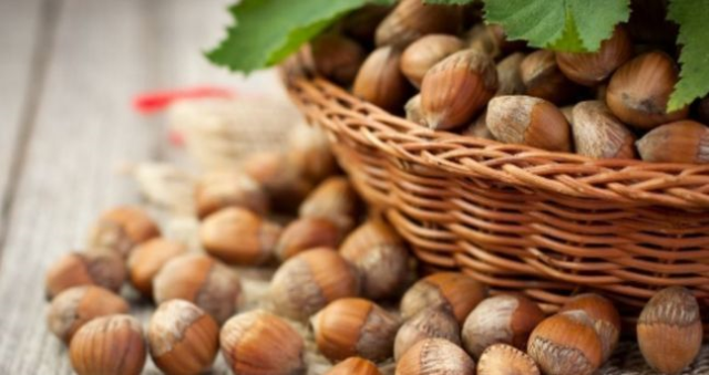 Fındık fiyatları düştü mü? Samsun'da güncel fındık fiyatları!