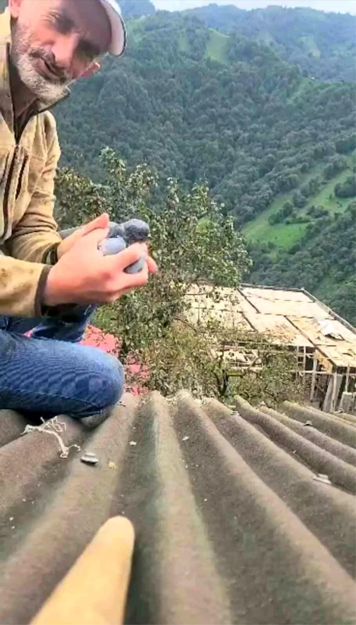 Güvercini Kurtaran Kahraman: Adem Topaloğlu'nun Duyarlı Davranışı