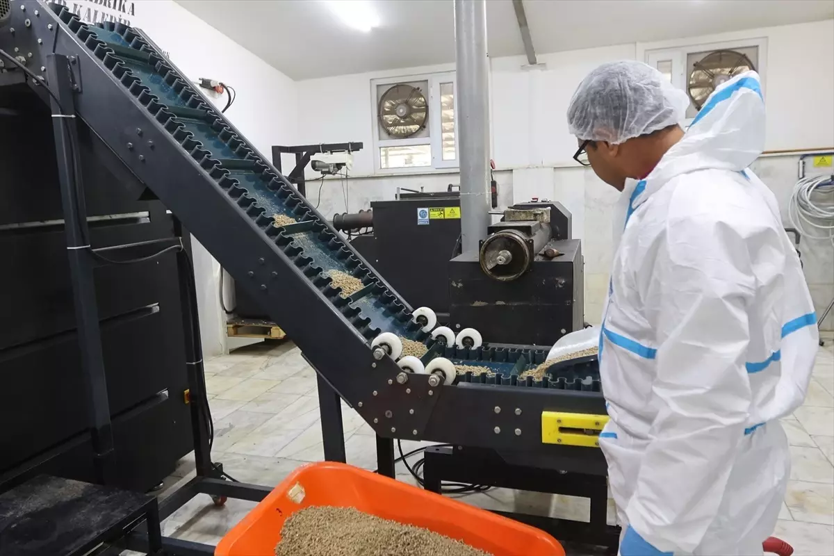 Muğla'da Sokak Hayvanları İçin Mama Üretim Tesisi Kuruldu