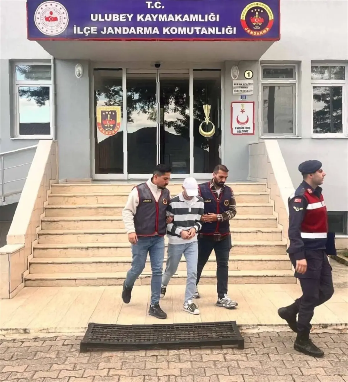 Fındık Hırsızlığı Zanlısı Tutuklandı