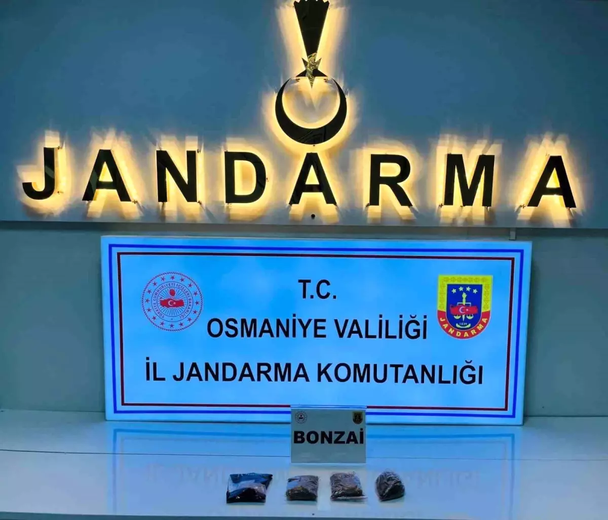 Osmaniye'de Jandarmadan Büyük Operasyon: 124 Şüpheli Gözaltına Alındı