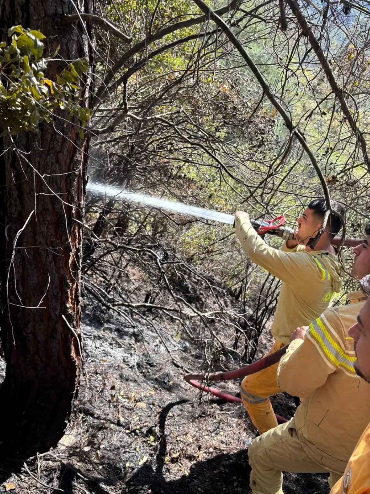 Osmaniye'de Çıkan Örtü Yangını Kontrol Altına Alındı