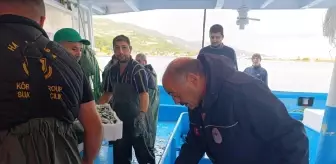 Samsun'da Hamsi Avcılığında Kota ve Üretim Planlaması Uygulamaları Başladı