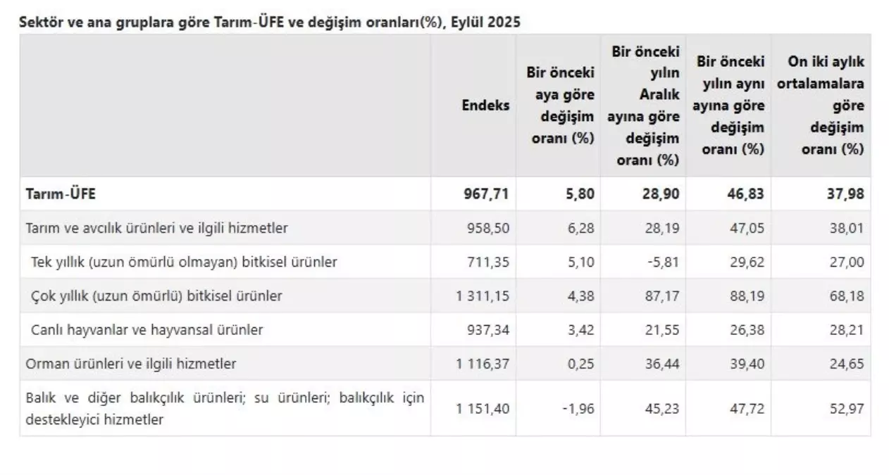 Eylülde Tarım Ürünleri Fiyatları Yükseldi