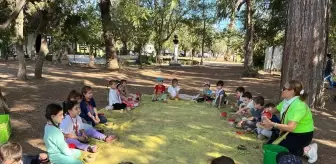 Antalya'da Minik Öğrenciler Zeytin Hasadı Yapıyor