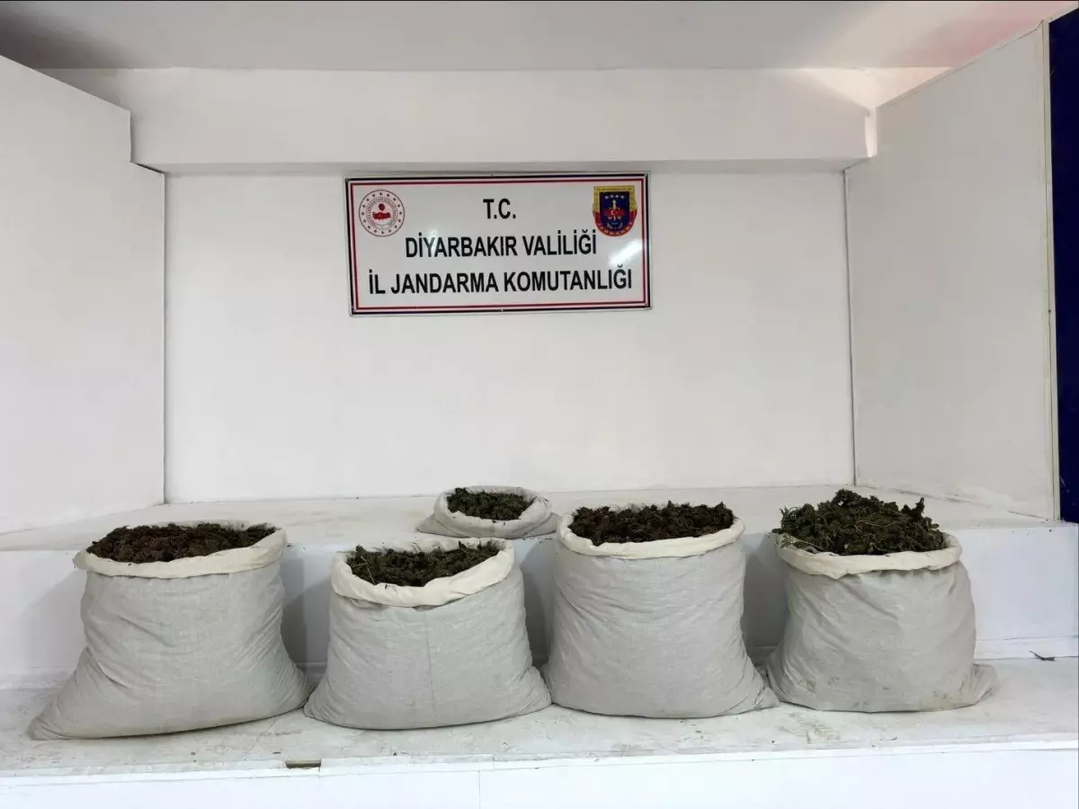 Diyarbakır'da Uyuşturucu Operasyonları: 51 Kilo Skunk ve 42 Kilo Esrar Ele Geçirildi