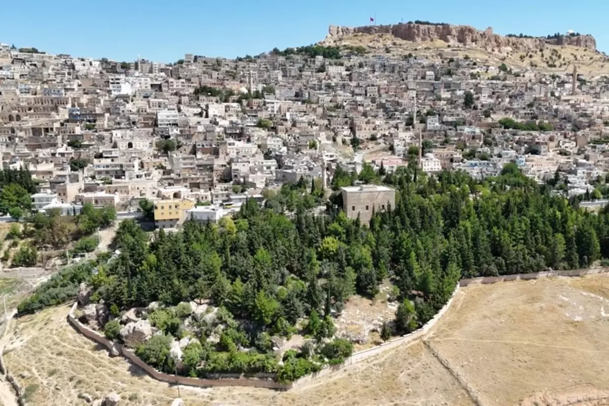 Dünyaya örnek olacak hikaye! Evlat gibi büyüttü, şimdi korunmasını istiyor
