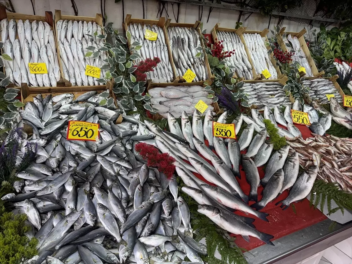 Edirne'de Hamsi Fiyatları 300 Lira