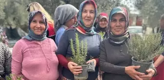 Kadın Çiftçilere Tıbbi ve Aromatik Bitki Fidesi Dağıtıldı