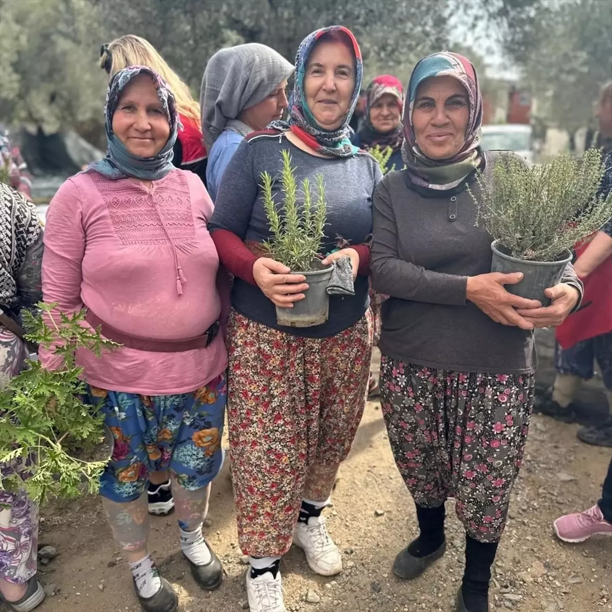 Kadın Çiftçilere Tıbbi ve Aromatik Bitki Fidesi Dağıtıldı