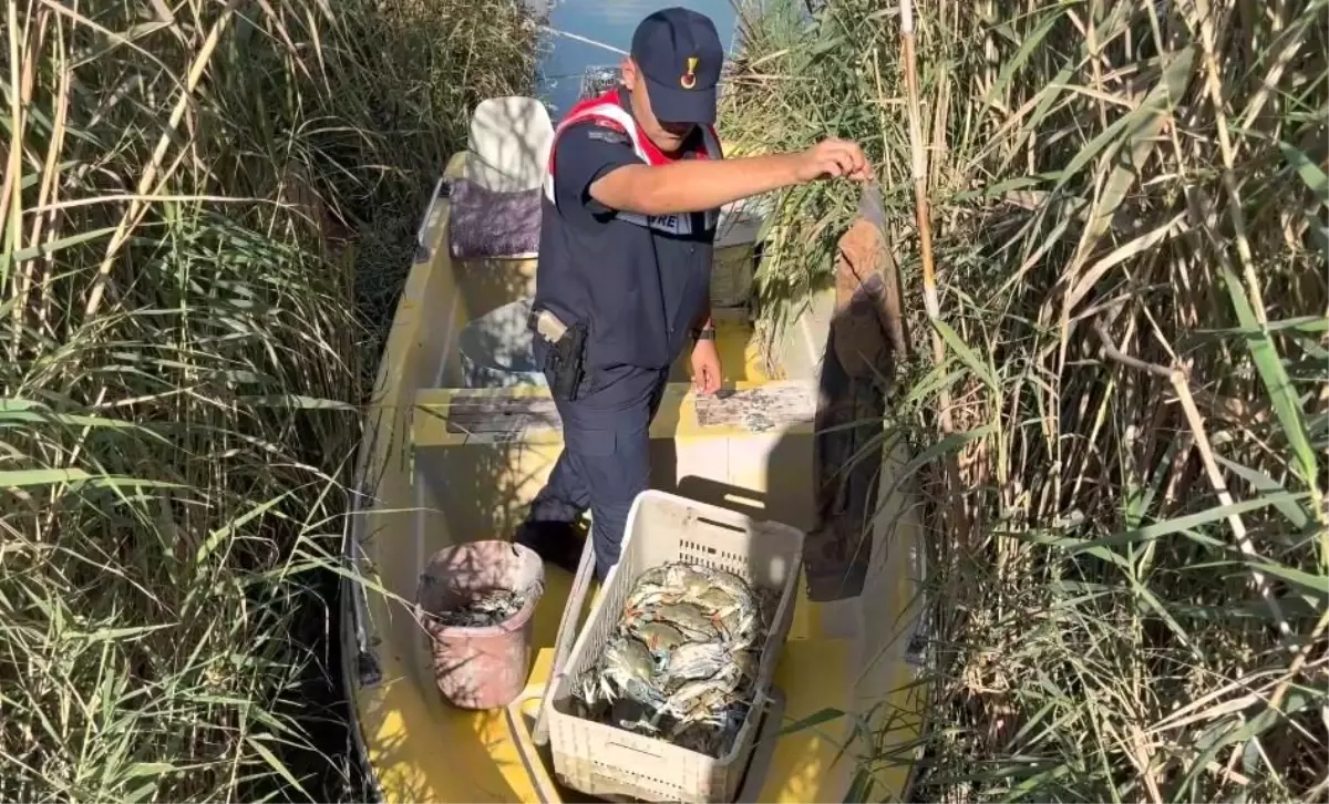 Mersin'de Yasa Dışı Mavi Yengeç Avına Operasyon