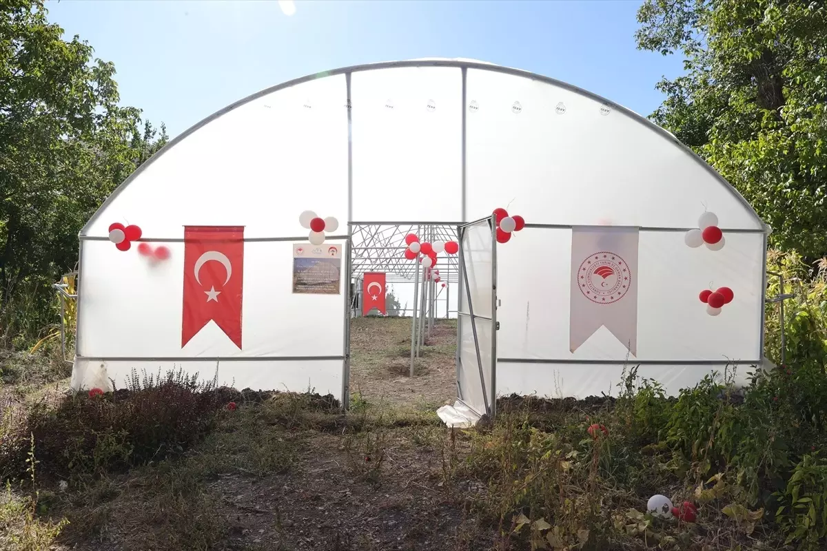 Hakkari'de Kadın Üreticilere 18 Sera Teslim Edildi