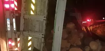 Antalya'da Tomruk Yüklü Kamyon Devrildi, Sürücü Yaralandı