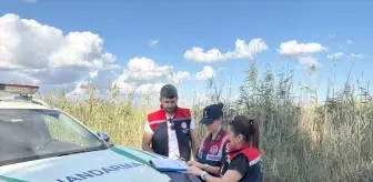 Silifke'de Yasa Dışı Mavi Yengeç Avcıları Yakalandı