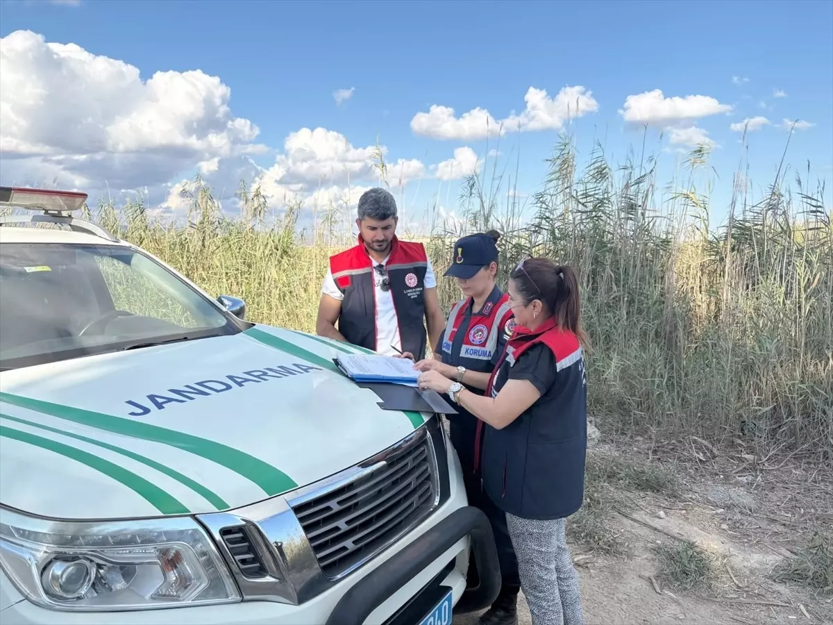 Silifke'de Yasa Dışı Mavi Yengeç Avcıları Yakalandı