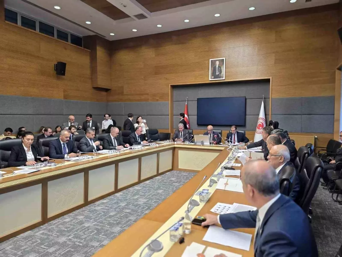 Milli Parklar'a ilişkin kanun teklifi Komisyon'da