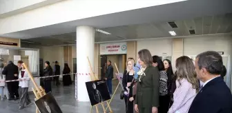 Muş'ta Meme Kanseri Farkındalık Etkinliği Düzenlendi