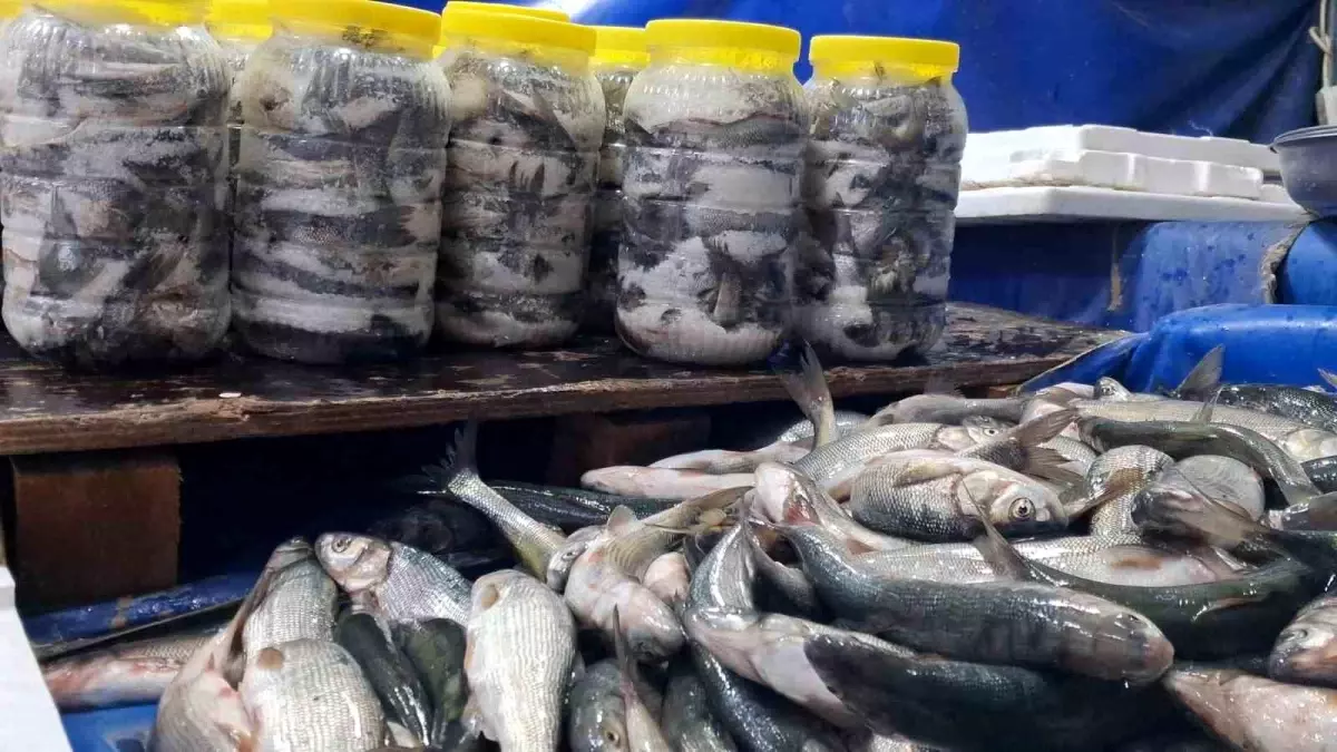 Van Gölü'nün İnci Kefali Tezgahları Şenlendiriyor