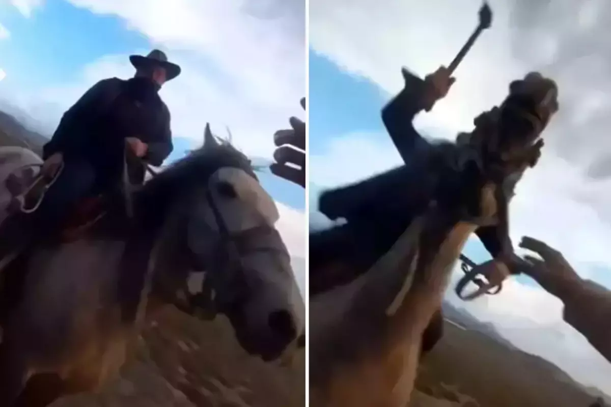 Yılkı atlarını fotoğrafını çekmek isterken kırbaçlı saldırıya uğradılar