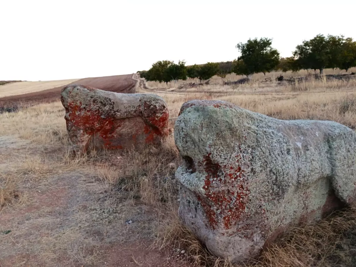 Darende'deki 4 Bin Yıllık Aslantaş Heykellerinin Taşınmasına İtiraz