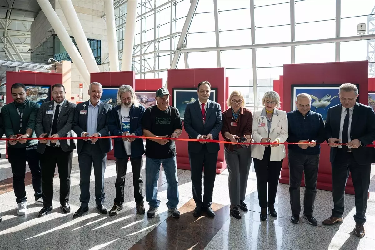 Tahsin Ceylan'dan 'Akdeniz'de Nesli Tehlike Altında Olan Türler' Sergisi