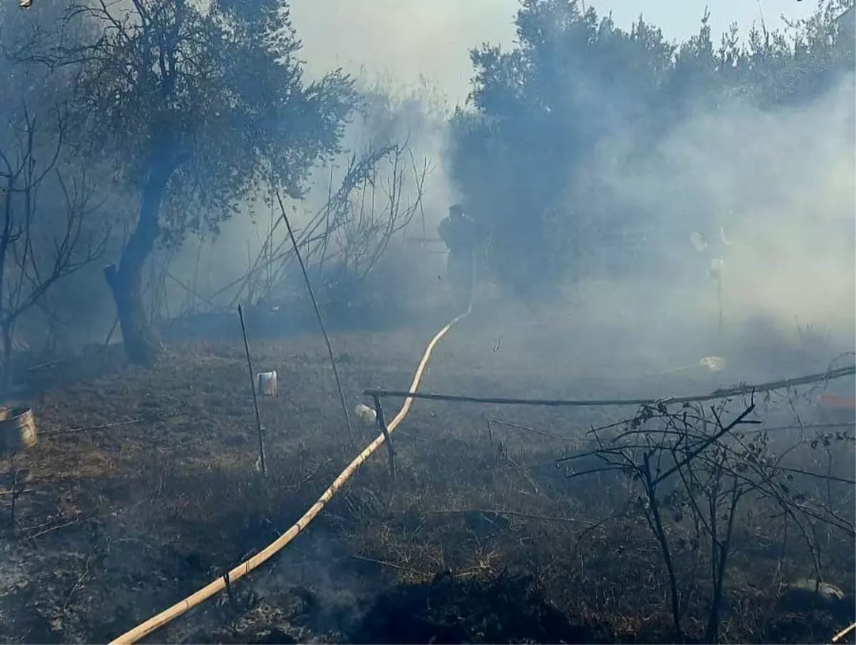 Hatay'da Zeytinlikte Yangın Kontrol Altına Alındı