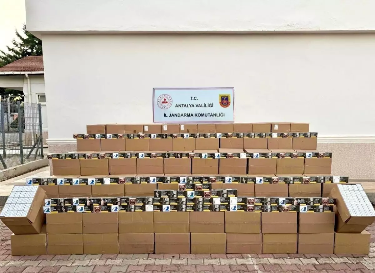 Antalya'da Kaçak Tütün Operasyonu: 5 Milyondan Fazla Makaron Ele Geçirildi