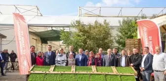 Bilecik'te 36 Çiftçiye 927 Bin Marul Fidesi Dağıtıldı