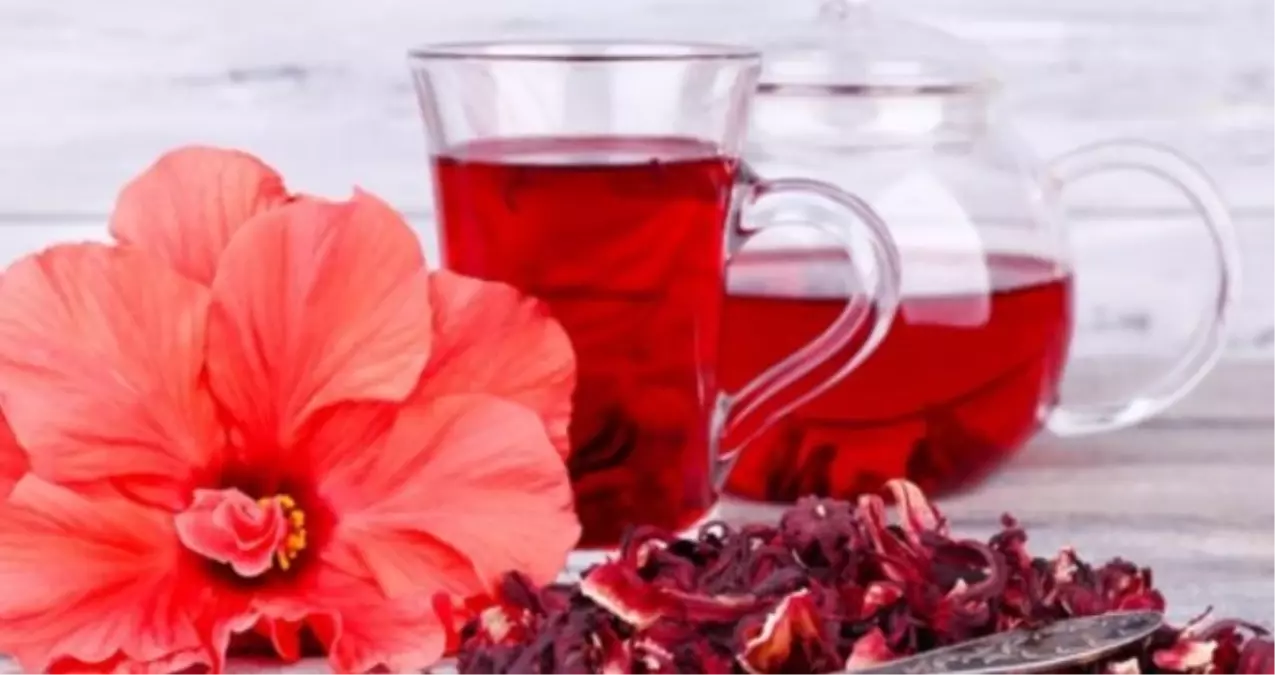 Hibiskus nerede yetişir? Hibiskus Türkiye'de yetişir mi? Hibiskus'un faydaları neler?