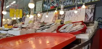 Karabük'te Hamsi Fiyatları 100 Liraya Düştü