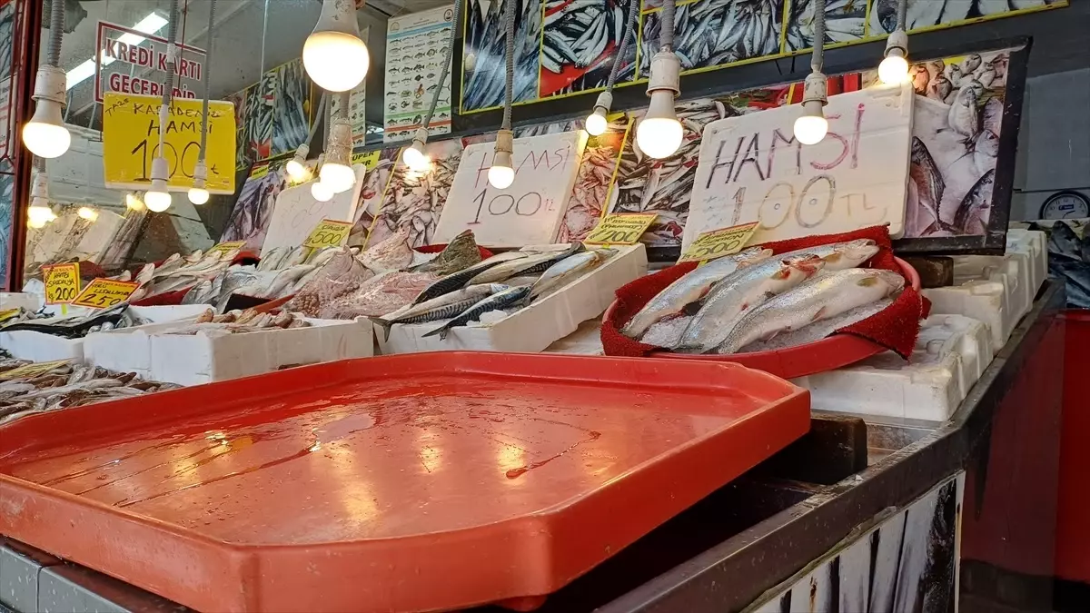 Karabük'te Hamsi Fiyatları 100 Liraya Düştü