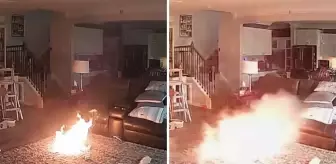 Lityum pili ısıran köpek evde büyük bir yangının çıkmasına sebep oldu