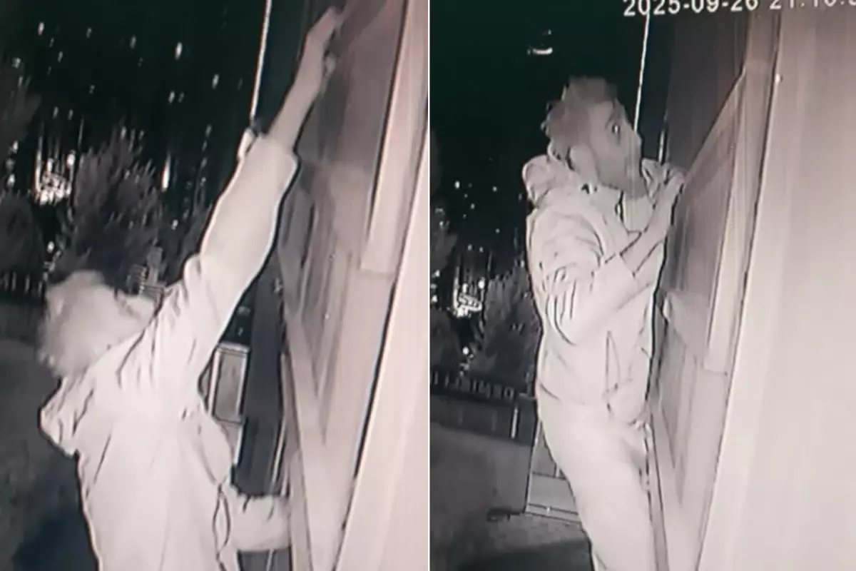 Lüks semtin kabusu oldular! Örümcek adam gibi tırmanıp milyonları çaldılar