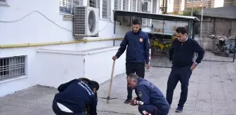 Siverek'te İtfaiye Ekipleri Mahsur Kalan Kedi Yavrusunu Kurtardı