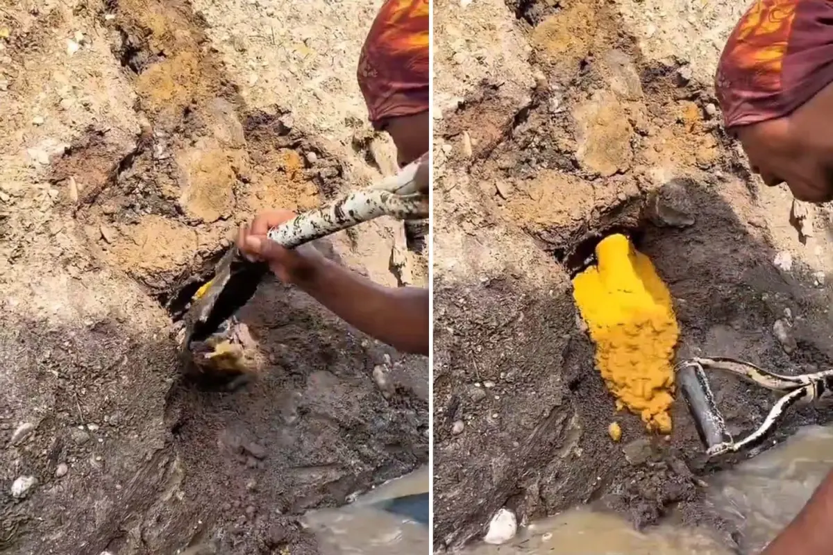 Şansın böylesi: Küreği vurduğu yerden altın fışkırdı