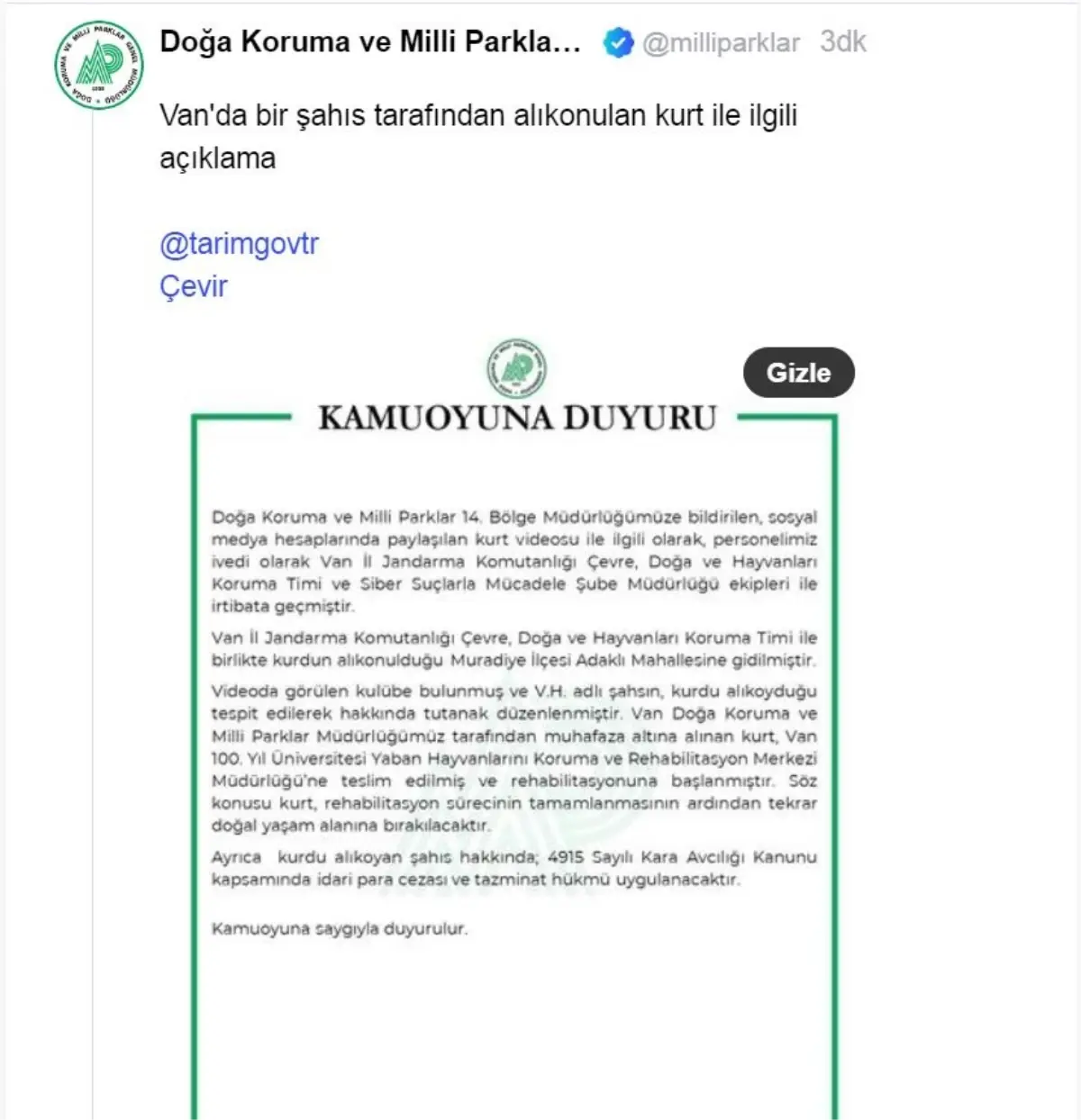 Alıkonulan Kurt Koruma Altına Alındı