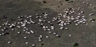 Zigana Dağı'nda Sonbahar Renkleri ve Besicilerin Zorluğu